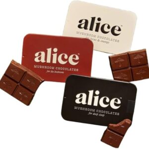 Alice mushroom chocolate