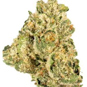 jungle cake strain​ , gmo jungle cake strain , jungle cake strain effects​ , jungle cake strain indica or sativa​ , jungle cake strain sativa or indica , jungle cake weed strain​ , gmo x jungle cake strain , jungle cake strain leafly , jungle cake strain review