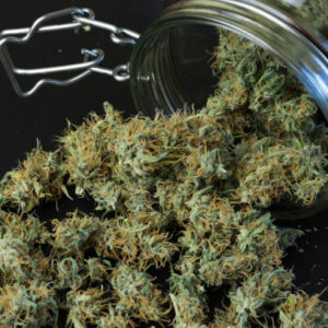 Cannabis Strains