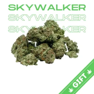 skywalker og , strain skywalker og kush strain , og skywalker strain , strain skywalker og , skywalker og strain effects , skywalker og weed strain​ , ovm x skywalker og strain​ , skywalker og strain indica or sativa​ , gmo x skywalker og strain , what strain is skywalker og , skywalker og strain muha​ , skywalker og strain review , gmo x skywalker og strain review ,​ skywalker og strain leafly , og skywalker strain info​ , skywalker og strain info​
